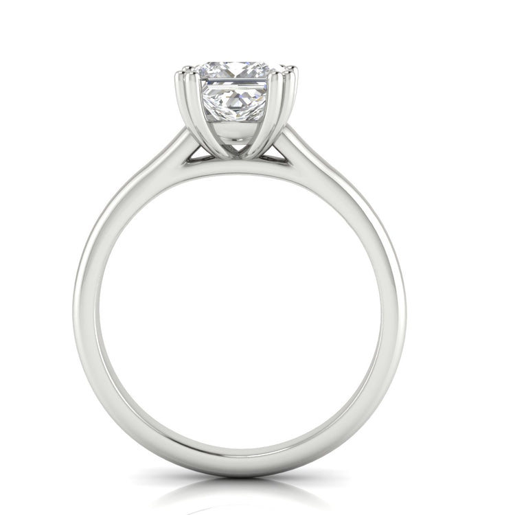 Double Prong Princess Cut Moissanite Engagement Ring