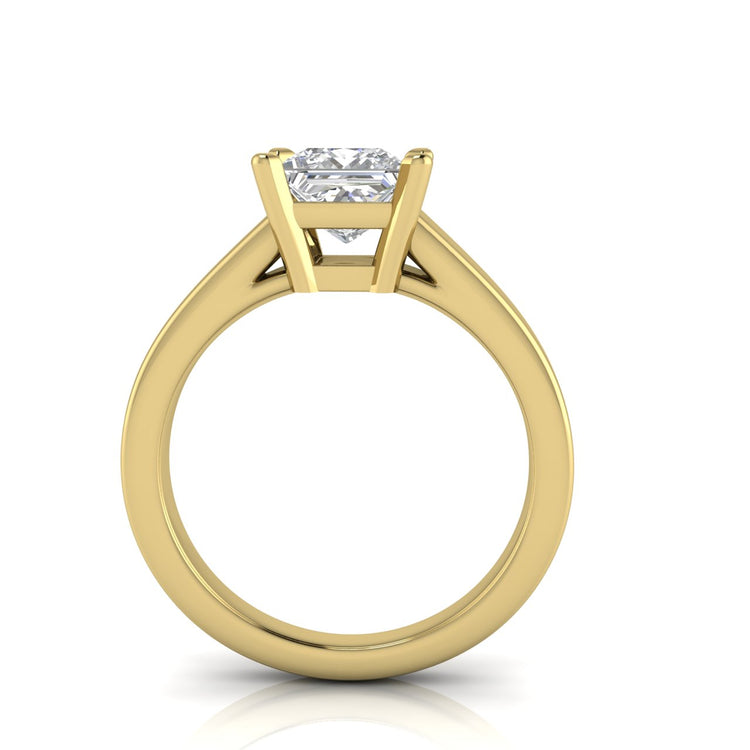 Wide Band Cathedral Princess Cut Moissanite Engagement Ring