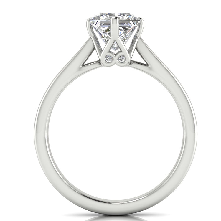 Hidden Accent Princess Cut Moissanite Engagement Ring